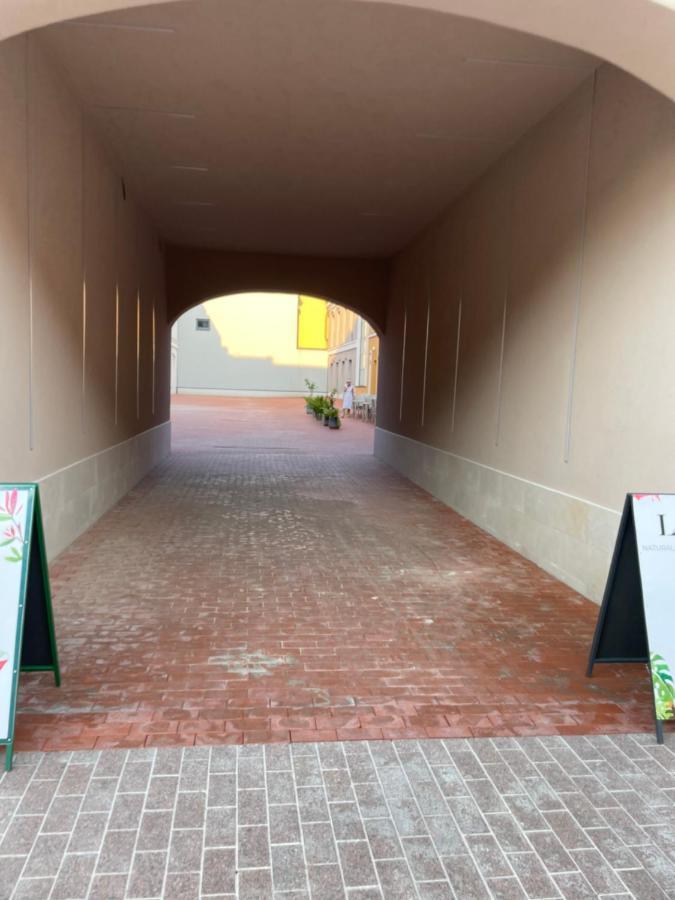 Prestige Apartment Old Town Zamosc ภายนอก รูปภาพ